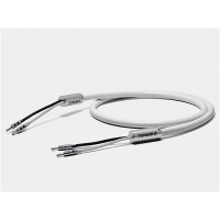 Oyaide Tunami II SP-B V2