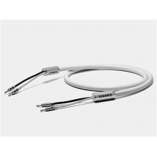 Oyaide Tunami II SP-B V2