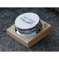 PatheWings PW-Fusion 290 