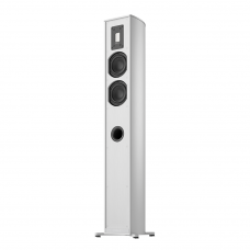 Piega Premium 501 Wireless