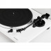 Thorens TD 201 (TP71, AT3600, Phono)