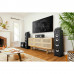 Polk Audio Monitor XT30 (MXT30) Polk Audio Monitor XT30 (MXT30)