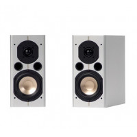 ASW Cantius 204