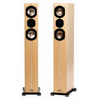 ASW Cantius 504