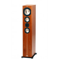ASW Cantius 604