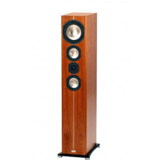ASW Cantius 604