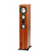 ASW Cantius 604
