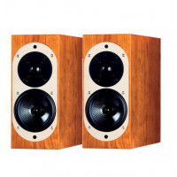 ASW Genius 100