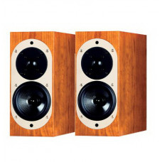 ASW Genius 100