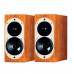 ASW Genius 100