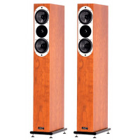 ASW Genius 300
