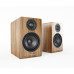 Acoustic Energy AE 100