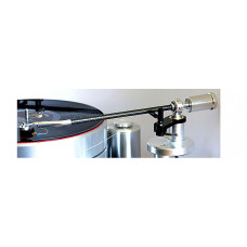 Acoustic Solid WTB 313  12“