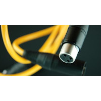 Atlas Quadstar fulli balanced 1m