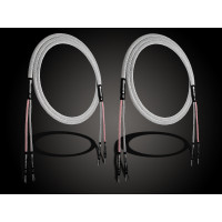 Audiomica Genimedes Ultra Reference