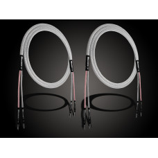 Audiomica Genimedes Ultra Reference