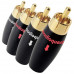 Audioquest RCA-300 Male