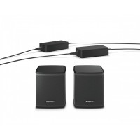 Bose Virtually Invisible 300