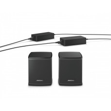 Bose Virtually Invisible 300