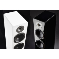 Cabasse Jersey MT 32