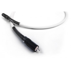 Chord Anthem Digital Tuned