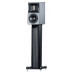 Raidho Eben X-Stream X-Baby mk2