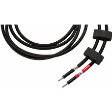 Einstein The Thunder