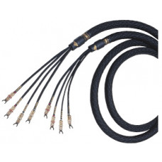 Kimber Kable Bifocal X