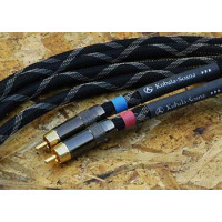 Kubala-Sosna Anticipation Digital