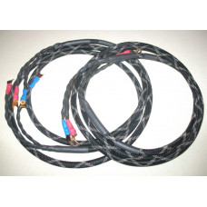 Kubala-Sosna Anticipation Speaker