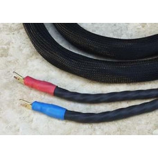 Kubala-Sosna Expression Speaker