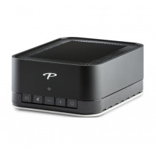 Paradigm PW AMP