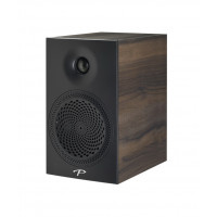 Paradigm Premier 100B