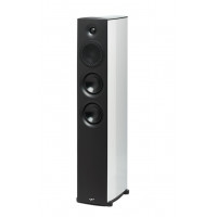 Paradigm Premier 800F