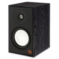 Paradigm Powered Speaker A2