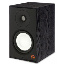 Paradigm Powered Speaker A2