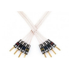 QED Original BW  C-QBO