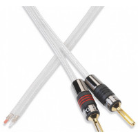 QED Silver Anniversary XTC-QSAXT