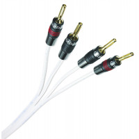 QED Silver Anniversary XT BW C-QSAXTBW