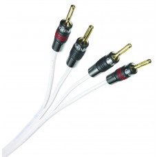 QED Silver Anniversary XT BW C-QSAXTBW