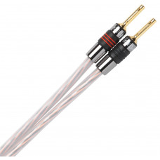 QED Ruby Anniversary Evolution QE1315