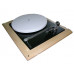Rega P9 Turntable