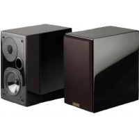 Usher S-520 Gloss
