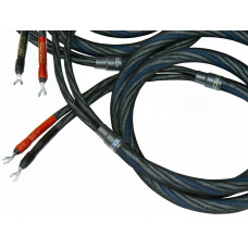 Stealth Dream Petite 