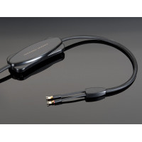 Transparent REFERENCE BIWIRE SC RSCBW