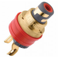 WBT 0210 Cu Ms
