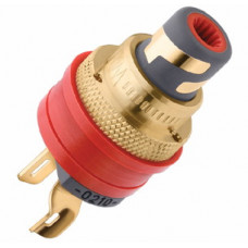 WBT 0210 Cu Ms