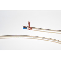 Atlas Element Quadstar в бухте